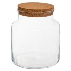 Les meilleures critiques de âïž Terrarium En Verre Bovaj 21cm Transparent ????