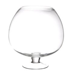 Top 10 ???? Coupe Sur Pied Verre Colga 32cm Transparent ????