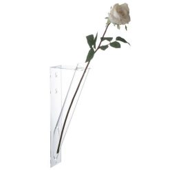 Alternative view of Les meilleures critiques de ???? Paris Prix Support Mural Pour Fleurs Tube 41cm Transparent ????