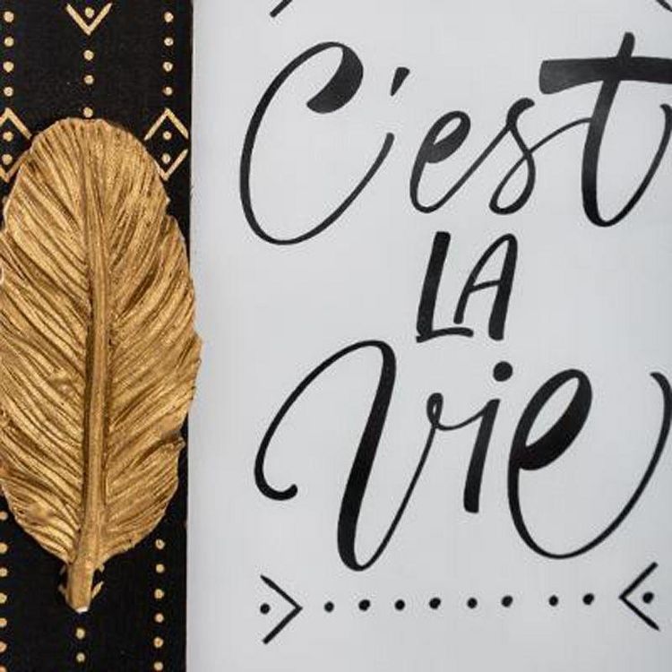 Cadre à Poser Relief Plume 20cm Noir & Or Bon marché ???? Cadre à Poser Relief Plume 20cm Noir & Or ???? -ATMOSPHERA Shop unnamed file 366